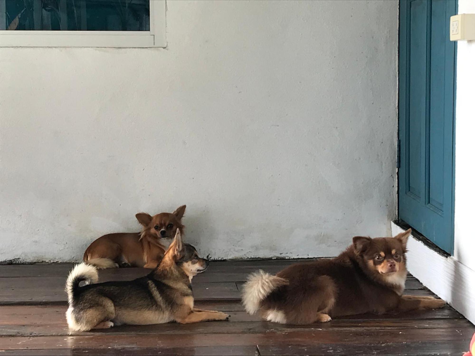 Ban Narai River Guesthouse Chiang Mai Luaran gambar